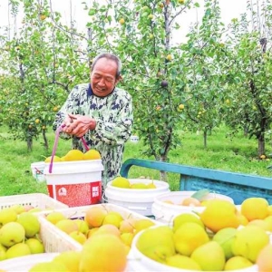 乡村振兴 产业先行