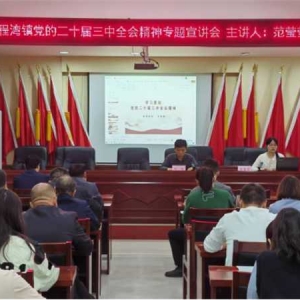 桐柏县程湾镇：深入学习党的二十届三中全会精神，筑牢乡镇安全生产防线