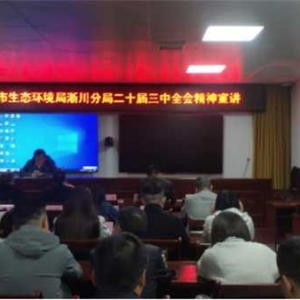 南阳市生态环境局淅川分局组织开展党的二十届三中全会精神学习会