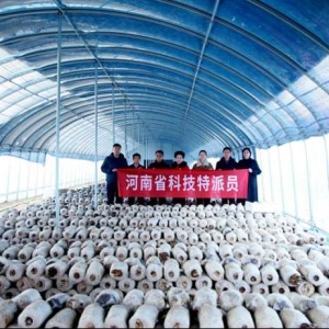 掌握一手好技术 走出一条乡里乡外致富路