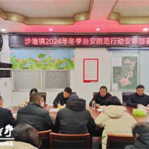 新野县沙堰镇：夜间巡逻“不降温”当好平安“守夜人”