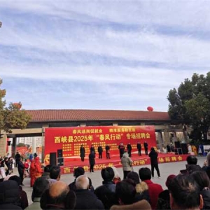 西峡县莲花街道：精准服务促就业，春风送岗暖人心