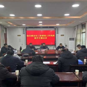 社旗县饶良镇人大助力农村集体三资清查工作