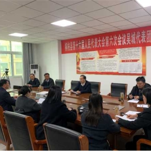 桐柏县吴城镇：审议“六大报告”，以深学细谋推动现代化桐柏建设