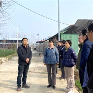 南阳市宛城区林业局积极开展草履蚧防治工作