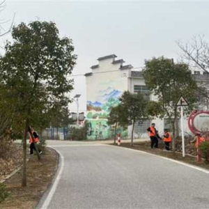 桐柏县吴城镇:助力环境整治 彰显军人本色
