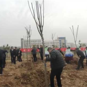 唐河县:绿植尽责扮美家园