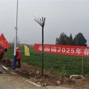 镇平县枣园镇：植树增绿 扮靓乡村