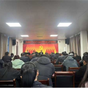 桐柏县吴城镇：开展小微企业金融回头看  优化营商环境