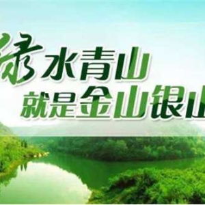 南阳市生态环境局淅川分局：绿色引领，助力项目高效落地