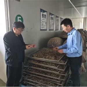 唐河县委统战部副部长、工商联党组书记路玉华深入企业走访调研