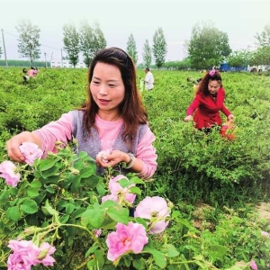 文旅融合助力乡村振兴