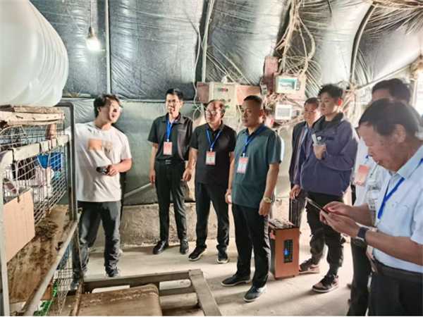邓州市陶营镇：政协委员和人大代表视察“1+N”乡村振兴产业体系