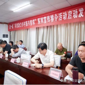 第一届活动启动发布会举行