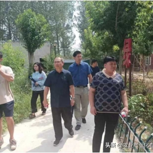 农业产业化专委会一行到淼林农业调研乡村振兴工作