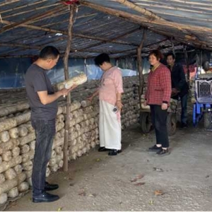 内乡县板场乡：诚信经营促发展，优化营商惠民生
