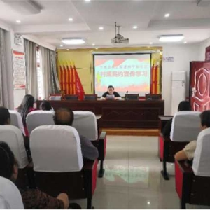 方城县释之街道团工委组织村规民约宣传学习活动