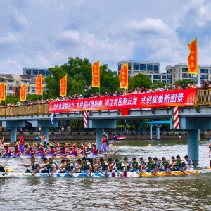 龙舟竞渡迎端午