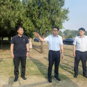 南阳市宛城区总林长、区长郭炜带队开展三级林长巡林工作