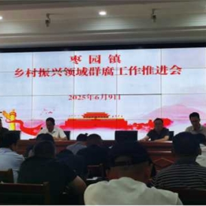 镇平县枣园镇：推进乡村振兴领域“群腐”整治