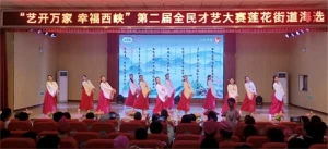 西峡县莲花街道：才艺大赛展风采 全民参与促提升