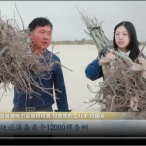 “沙海愚公”付志周：我这一辈子准备栽一百万棵树