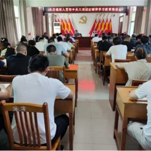 桐柏县朱庄镇召开深入贯彻中央八项规定精神学习教育推进会