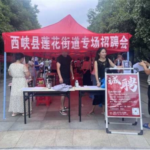 西峡县莲花街道：“夜市招聘会”点亮就业新希望