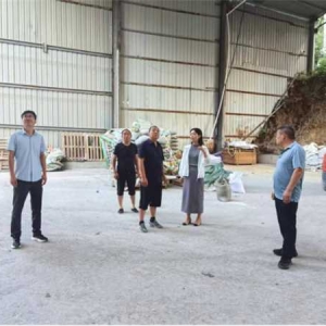 桐柏县朱庄镇：扎实开展“万人助万企”活动 推动企业发展稳步前进
