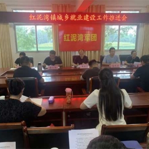 南阳市宛城区红泥湾镇：放眼未来谋全局 绘就民生新图景