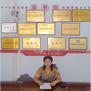 赤子归巢映山红——记河南郏县安良镇塔林坡村党支部书记、村主任刘银仙