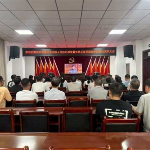 桐柏县淮北街道：集中观看纪念中国人民抗日战争暨世界反法西斯战争胜利80周年大会