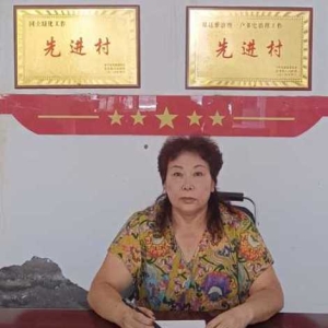 赤子归巢映山红——记河南郏县安良镇塔林坡村党支部书记、村主任刘银仙