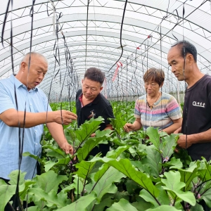 菜王传“技” ，“小西瓜”促进“大就业”