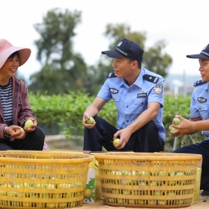“果园警务”守护“甜蜜经济”