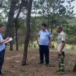 唐河：“三网合一”精准监控涉林违法行为