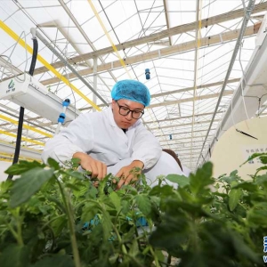 安徽淮北：智慧农业种植忙