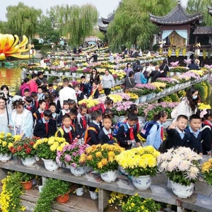 河南开封：满城菊香迎客来