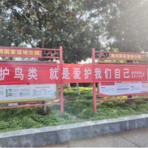 唐河林长制为野生动物撑起保护伞