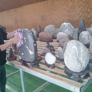 十年砺石成艺 匠心筑梦前行——程彬彬与他的奇石花盆创业路