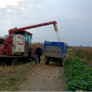 邓州市罗庄镇：多措并举推动小麦冬播工作