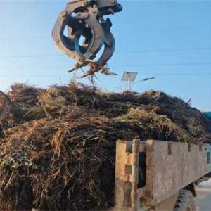 桐柏县平氏镇：强化源头治理 做好秸秆 “大文章”