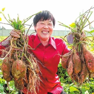 建设宜居宜业和美乡村