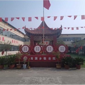 河南省中鸿养老集团：公建民营激活农村养老 让乡居晚年更有质感