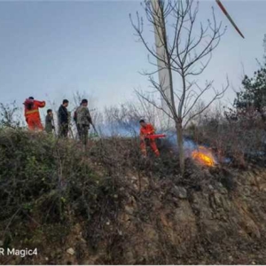 桐柏县朱庄镇：退役军人服务站开展老兵志愿者冬季护林防火活动