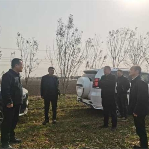 南阳市宛城区开展林长制工作专项督查