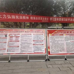 南阳市宛城区林业局开展“12·4”国家宪法日主题宣传活动