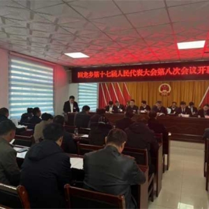 桐柏县回龙乡第十七届人民代表大会第八次会议胜利召开