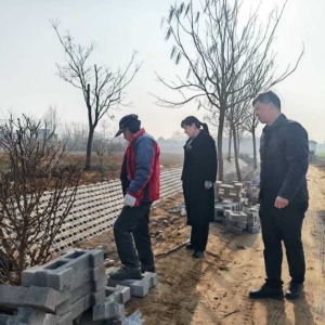 郏县冢头镇:人居环境整治再发力 绘就乡村振兴新画卷