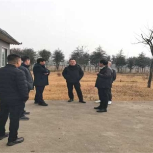 南阳市宛城区林业局：精准谋划国储林林下经济 赋能生态产业高质量发展